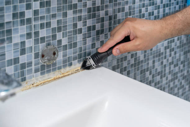 Best Mold Testing  in Port Morris, NJ